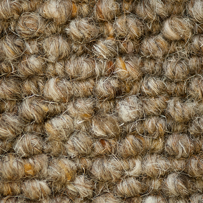 Classic Berber Wool Loop Pile HL21