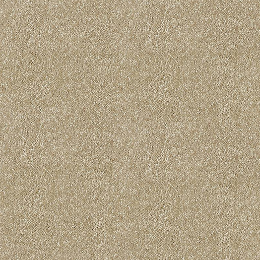 Abingdon Carpets Stainfree Satin Touch Chenille