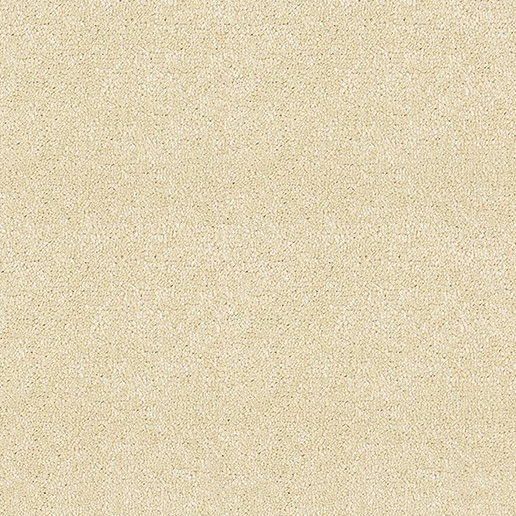 Abingdon Carpets Stainfree Satin Touch Lace