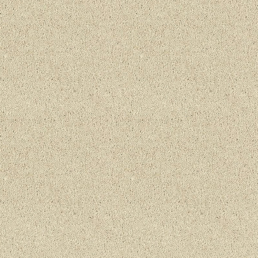 Abingdon Carpets Stainfree Sophisticat Cotton