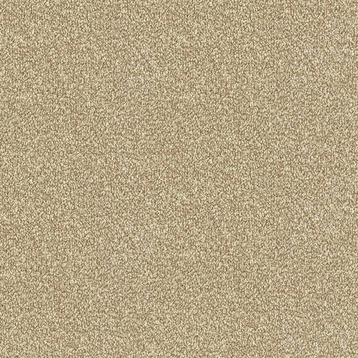 Abingdon Carpets Stainfree Ultra Latte