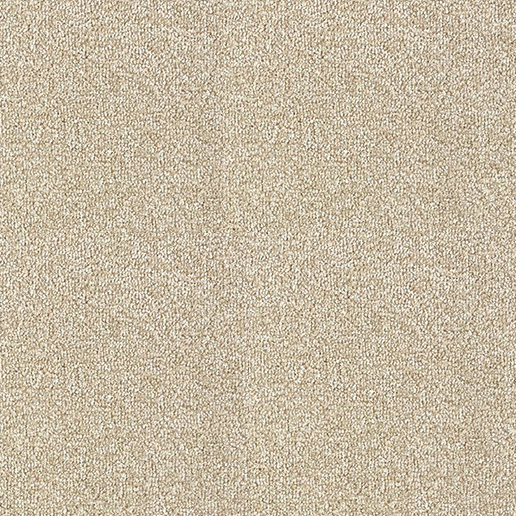 Abingdon Carpets Stainfree Rustique Saxony Urban Chic