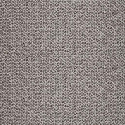 Crucial Trading Pearl Chic Steel Wool Loop Pile Carpet WP105