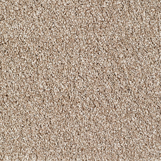 Everyroom Carpet Bridgeport Beige