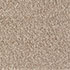 Everyroom Carpet Bridgeport Beige