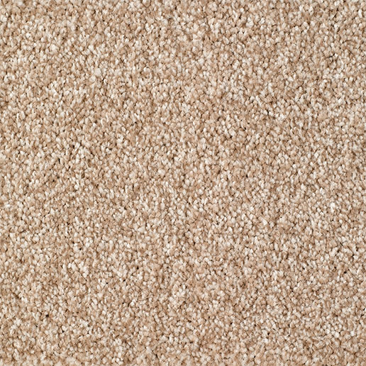 Everyroom Carpet Brixham Cashew