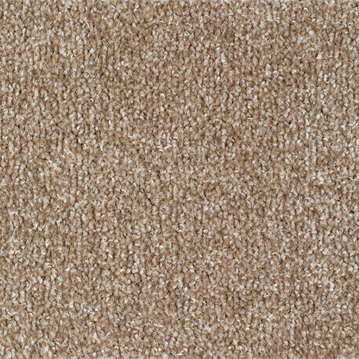 Everyroom Carpet Carrick Cove Mink