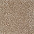 Everyroom Carpet Carrick Cove Mink