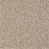 Everyroom Carpet Eastbourne Elite Biscuit