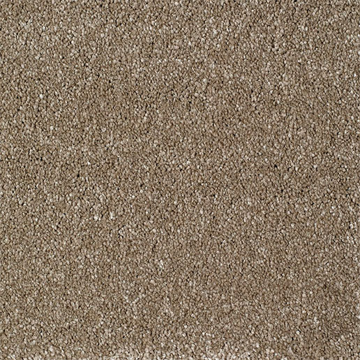 Everyroom Carpet Eastbourne Luxury Mink