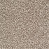 Everyroom Carpet Plumpton Beige