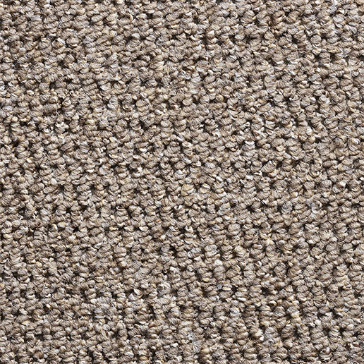 Everyroom Carpet Woodford Loop Caramel