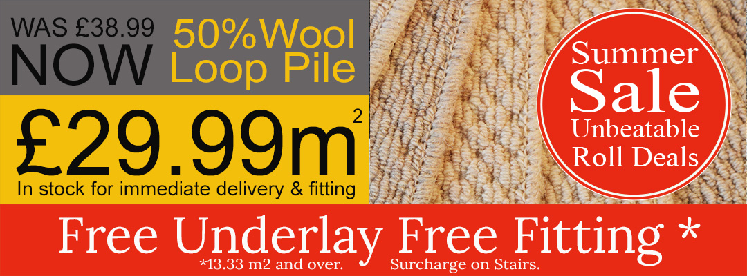 Imola 100% Wool Loop Pile 2 Ply Yarn